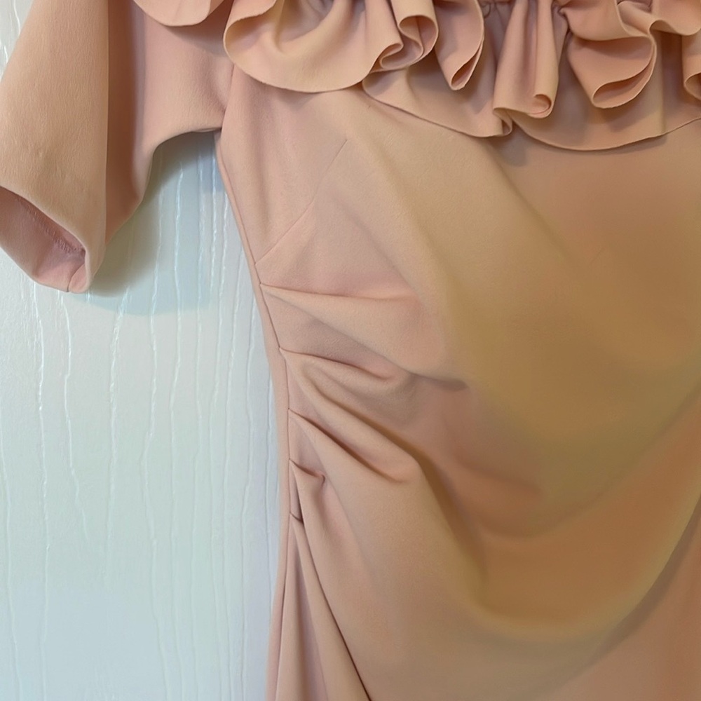 Pale Pink Crepe Sheath Gown